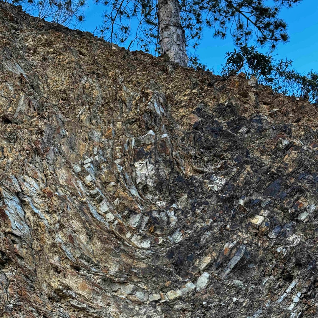 AOP Saint-Chinian Berlou : terroir de schiste, cépages et vins