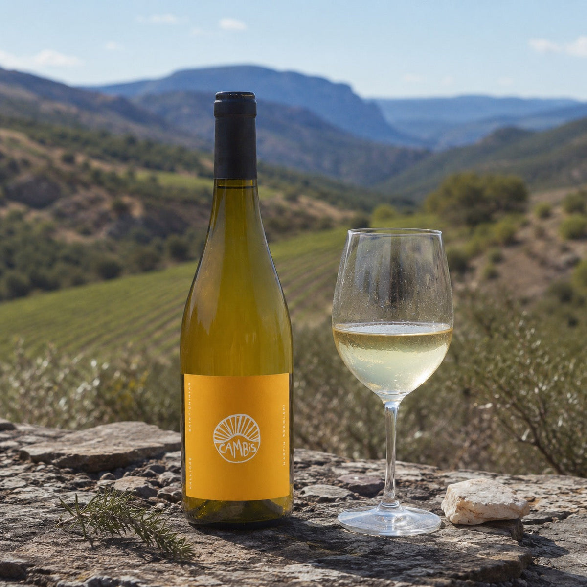 Saint-Chinian blanc : cépages, style et accords