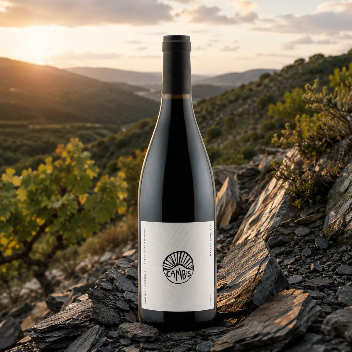 Le goût d'un Berlou : profil aromatique d'un vin de schiste
