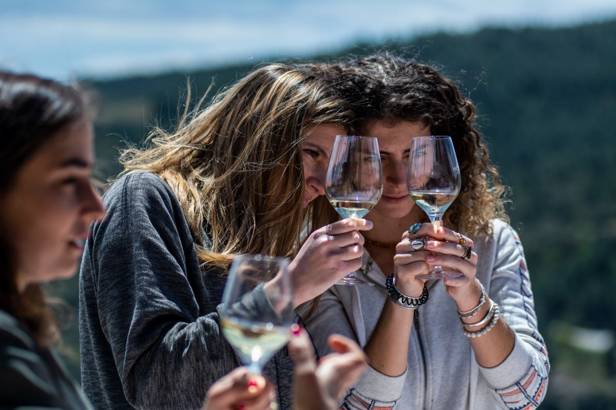 Dégustation des vins du Languedoc