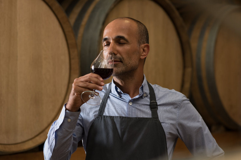 Dégustation des vins du Languedoc