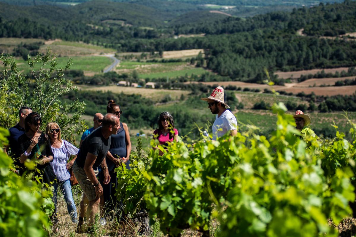 La route des vins en Languedoc